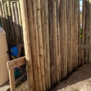 WhatsApp Image 2023-09-12 at 8.11.54 PM