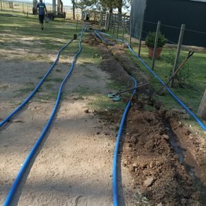 WhatsApp Image 2023-09-12 at 8.12.47 PM