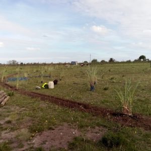 WhatsApp Image 2023-09-21 at 8.05.33 PM (2)