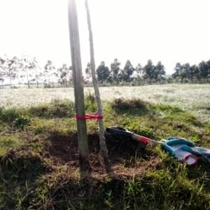 WhatsApp Image 2023-09-21 at 8.05.33 PM