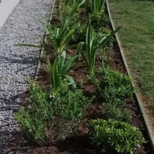 WhatsApp Image 2023-09-21 at 8.05.35 PM (1)