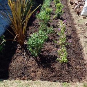 WhatsApp Image 2023-09-21 at 8.05.36 PM (2)