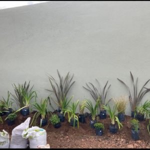 WhatsApp Image 2023-09-21 at 8.05.36 PM (3)