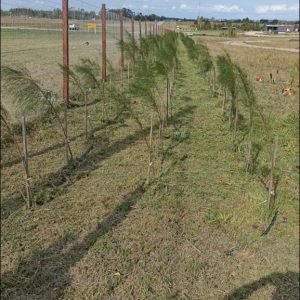 WhatsApp Image 2023-09-21 at 8.05.36 PM