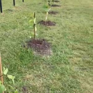 WhatsApp Image 2023-09-21 at 8.05.36 PM (4)