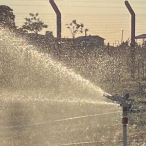 WhatsApp Image 2023-09-21 at 8.06.00 PM (1)