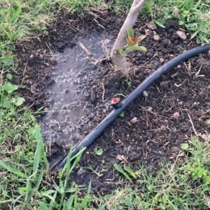 WhatsApp Image 2023-09-21 at 8.06.00 PM (2)