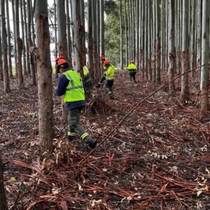 Imagen de WhatsApp 2025-08-01 a las 12.45.10_b065611b