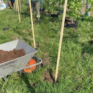 Imagen de WhatsApp 2025-08-01 a las 12.46.07_9d5d59fb