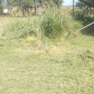 Imagen de WhatsApp 2025-08-01 a las 12.49.09_8e1996f6