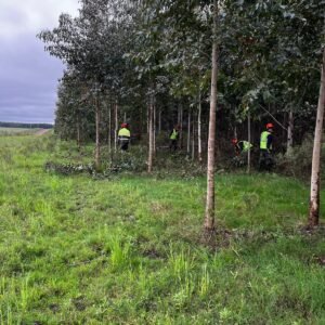 Imagen de WhatsApp 2025-08-01 a las 13.19.51_f0bac59c