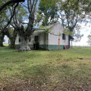 Imagen de WhatsApp 2025-08-04 a las 17.47.38_235730cb