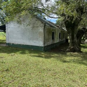 Imagen de WhatsApp 2025-08-04 a las 17.47.38_c46e17f7